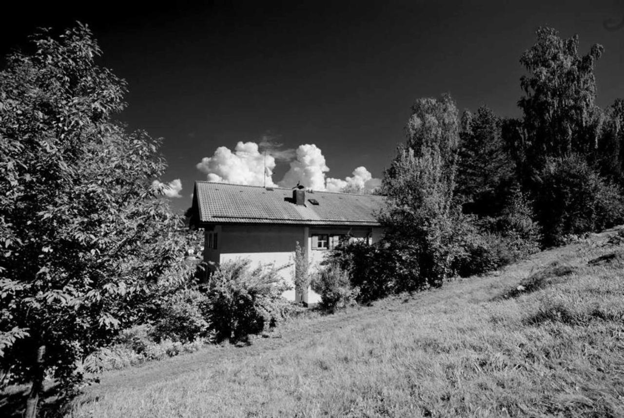 Ferienwohnungen Haus "Wildschuetz" Frauenau Exterior photo